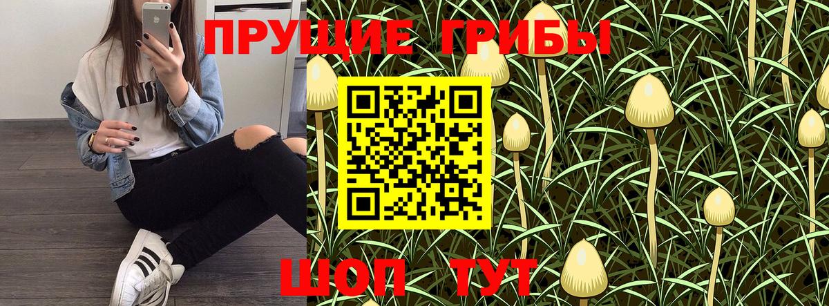 Псилоцибиновые грибы MAGIC MUSHROOMS  Вход с VPN  Апрелевка  купить   Псилоцибиновые грибы Psilocybe 